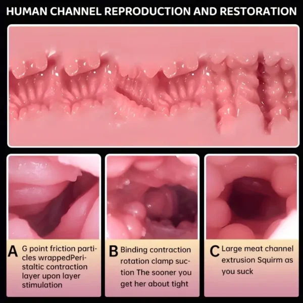 Automatic Male Masturbators