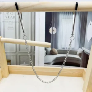 Stainless Steel Chain Breast Clips