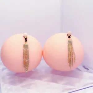 Luxury Crystal Tassel Earrings and Silicone Nipple Clip Set