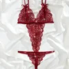 Deep V Backless Open Crotch Bodysuit
